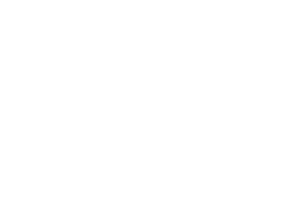 Natus